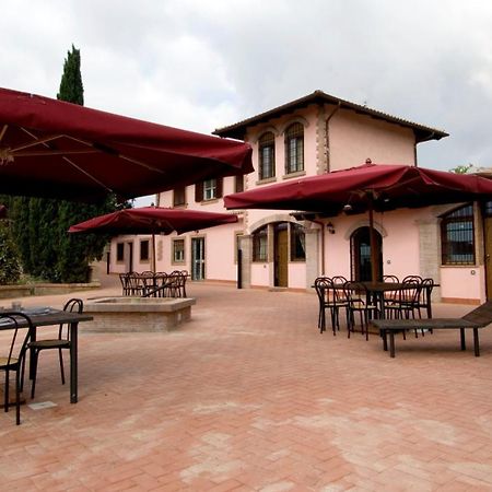 Azienda Agricola Sinisi Cerveteri Dış mekan fotoğraf