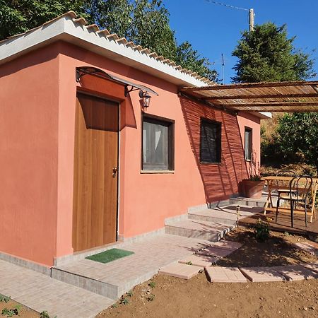 Azienda Agricola Sinisi Cerveteri Oda fotoğraf