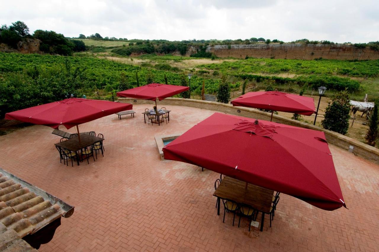 Azienda Agricola Sinisi Cerveteri Oda fotoğraf