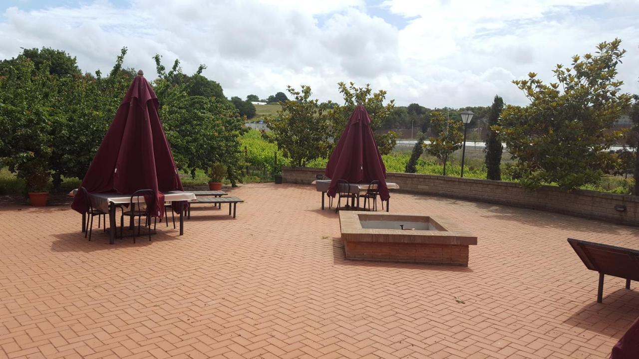 Azienda Agricola Sinisi Cerveteri Dış mekan fotoğraf