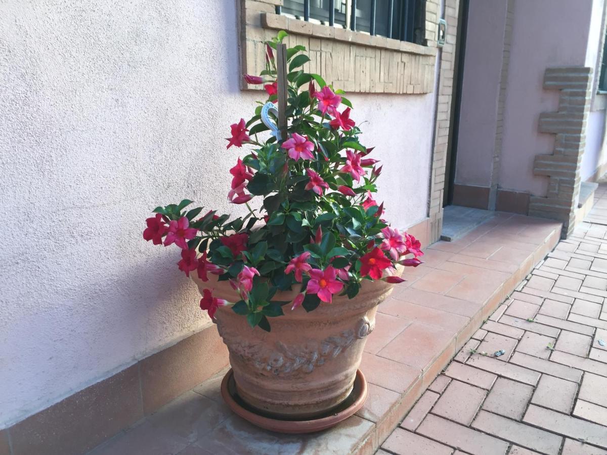 Azienda Agricola Sinisi Cerveteri Dış mekan fotoğraf