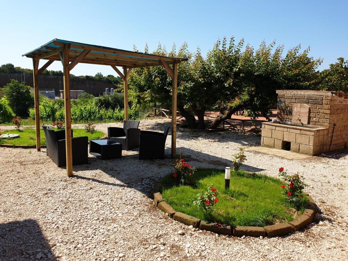Azienda Agricola Sinisi Cerveteri Dış mekan fotoğraf
