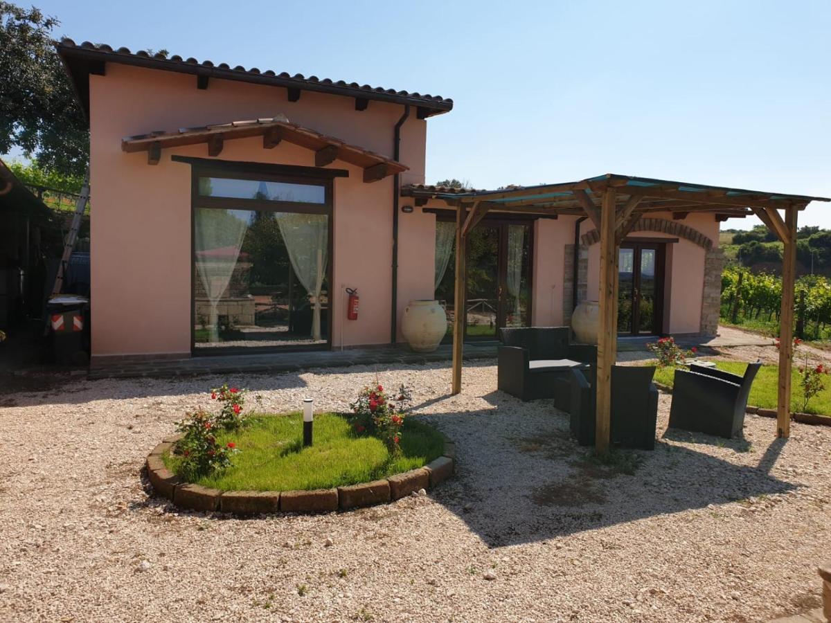 Azienda Agricola Sinisi Cerveteri Dış mekan fotoğraf
