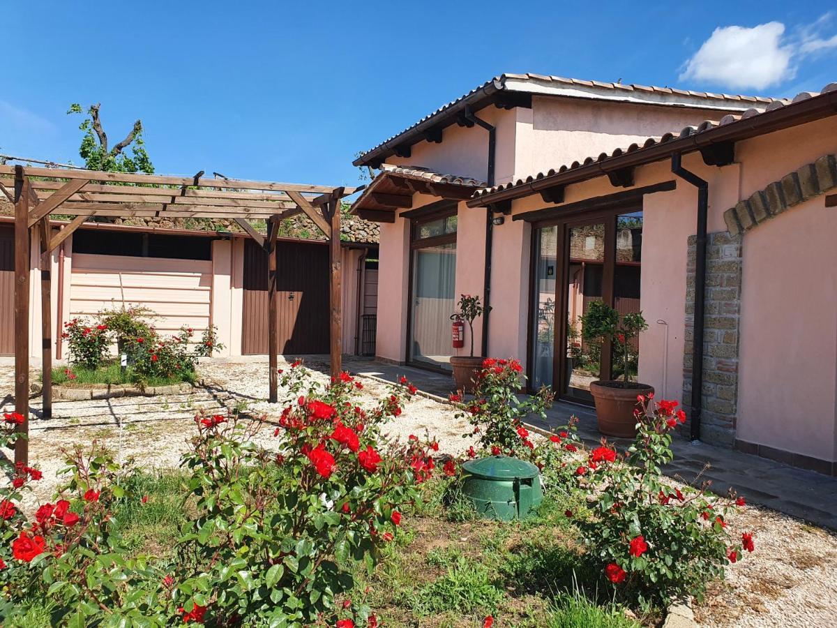 Azienda Agricola Sinisi Cerveteri Dış mekan fotoğraf