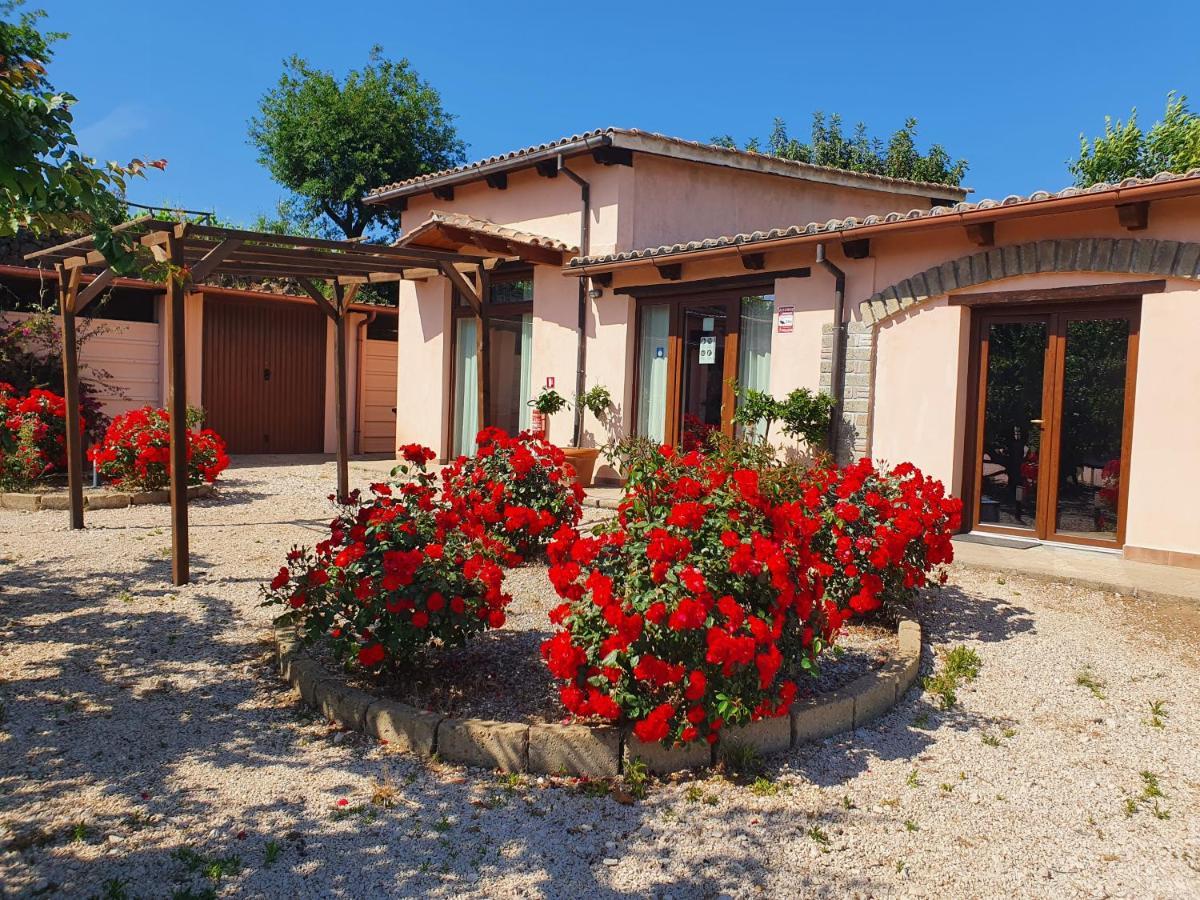 Azienda Agricola Sinisi Cerveteri Dış mekan fotoğraf