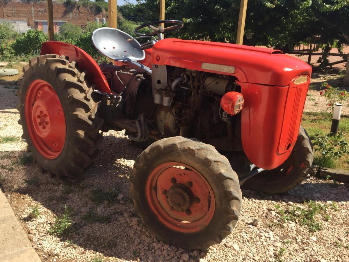 Azienda Agricola Sinisi Cerveteri Dış mekan fotoğraf