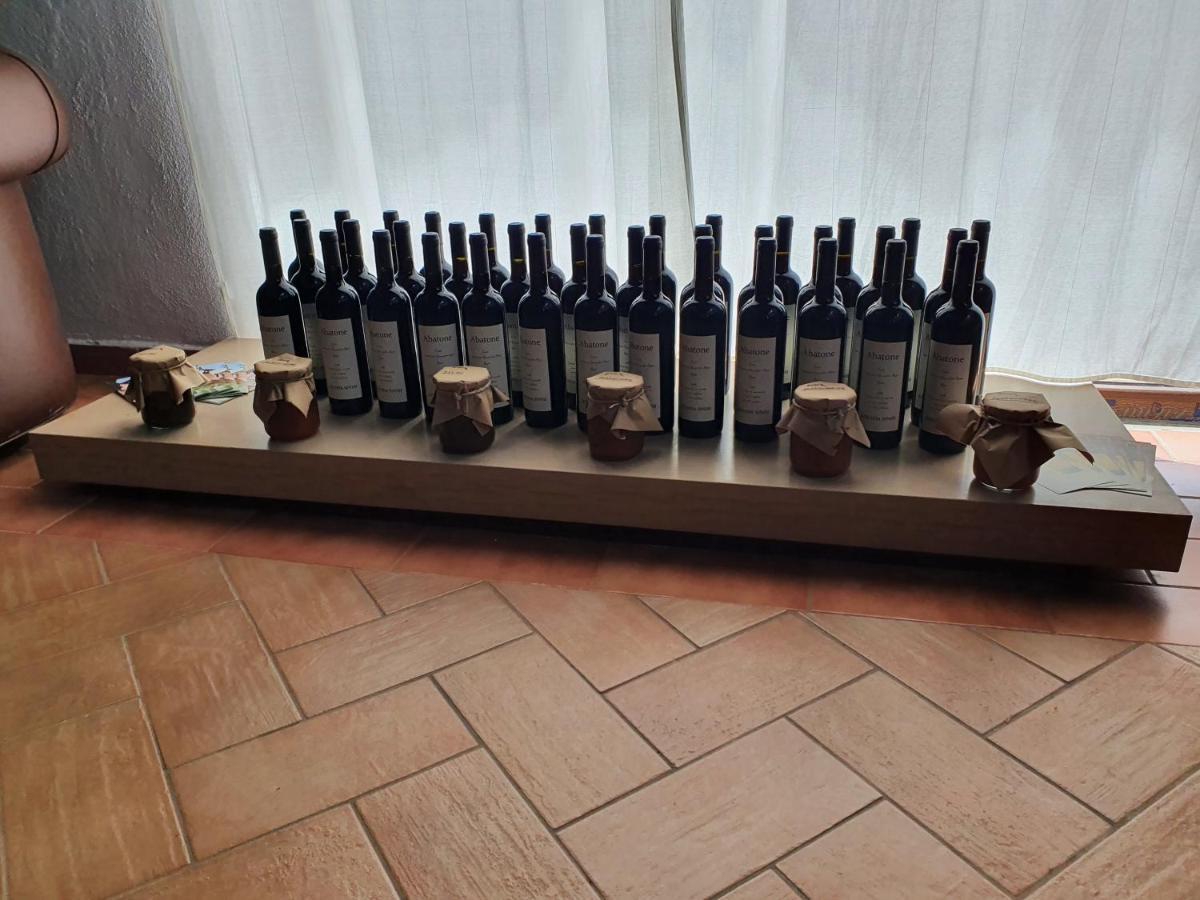 Azienda Agricola Sinisi Cerveteri Dış mekan fotoğraf